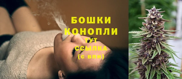 spice Медвежьегорск