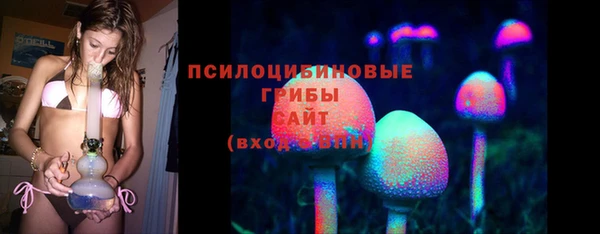 spice Медвежьегорск