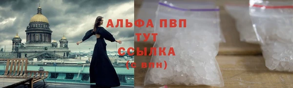 ECSTASY Медногорск