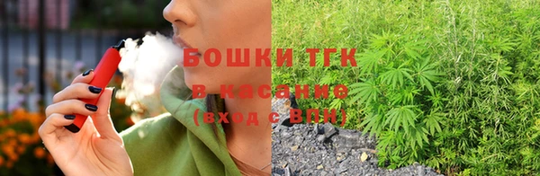 ECSTASY Медногорск