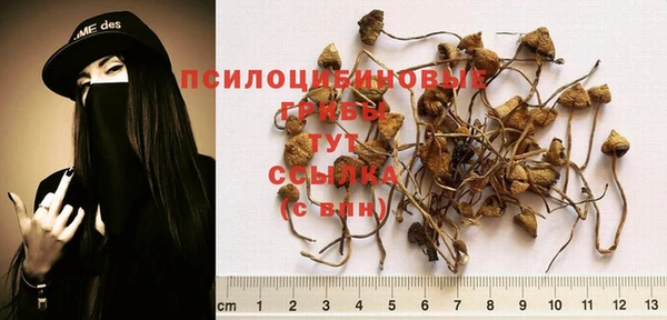 ECSTASY Медногорск