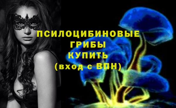 spice Медвежьегорск