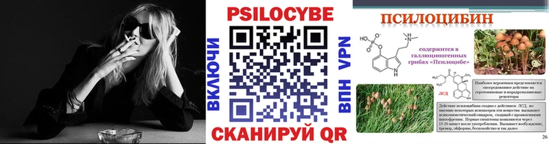 Галлюциногенные грибы Psilocybe  Чаплыгин 